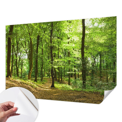 Fototapeta za otroško sobo z motivom naravnih elementov