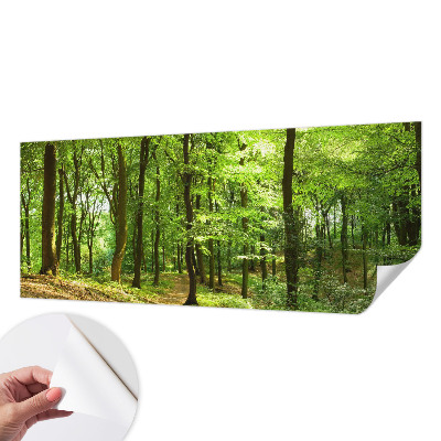Fototapeta za otroško sobo z motivom naravnih elementov