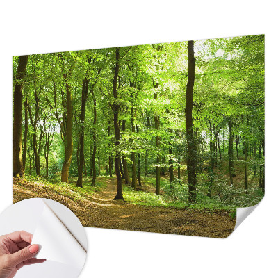 Fototapeta za otroško sobo z motivom naravnih elementov