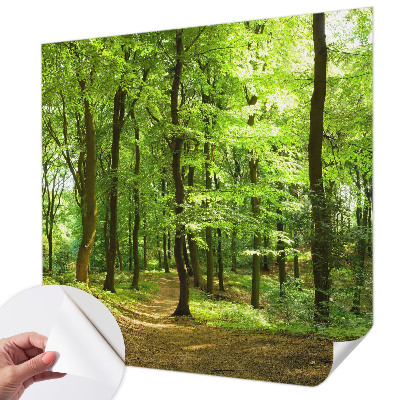 Fototapeta za otroško sobo z motivom naravnih elementov
