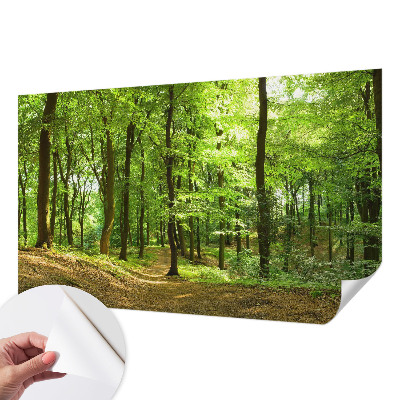 Fototapeta za otroško sobo z motivom naravnih elementov