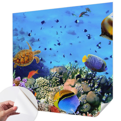 Otroška fototapeta z motivom koralnega grebena