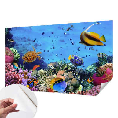 Otroška fototapeta z motivom koralnega grebena