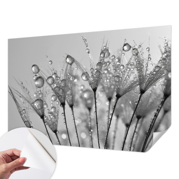 Samolepilna fototapeta za dnevno sobo Mokra poslastica