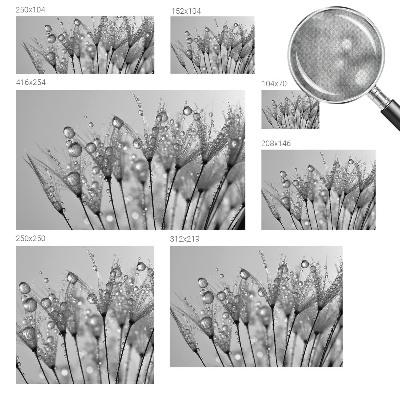 Samolepilna fototapeta za dnevno sobo Mokra poslastica