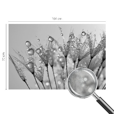 Samolepilna fototapeta za dnevno sobo Mokra poslastica