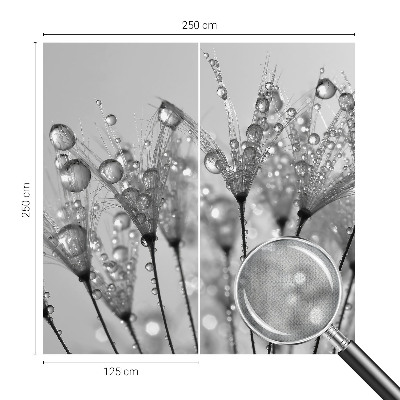 Samolepilna fototapeta za dnevno sobo Mokra poslastica
