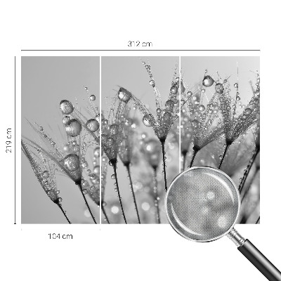 Samolepilna fototapeta za dnevno sobo Mokra poslastica