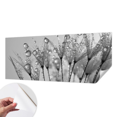Samolepilna fototapeta za dnevno sobo z motivom „Mokra poslastica”