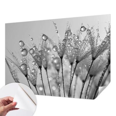 Samolepilna fototapeta za dnevno sobo Mokra poslastica