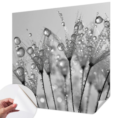 Samolepilna fototapeta za dnevno sobo Mokra poslastica