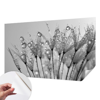 Samolepilna fototapeta za dnevno sobo Mokra poslastica