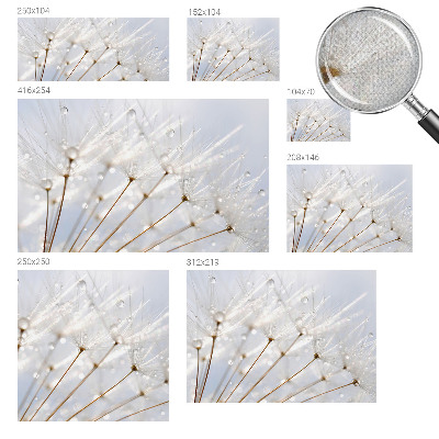 Samolepilna fototapeta za spalnico Rožnati regrat