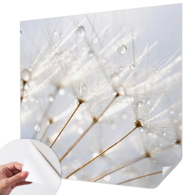 Samolepilna fototapeta za spalnico z motivom rožnatega regrata