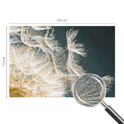 Samolepilna fototapeta za dnevno sobo Regrat lahkotnosti