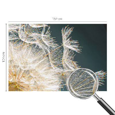 Samolepilna fototapeta za dnevno sobo Regrat lahkotnosti