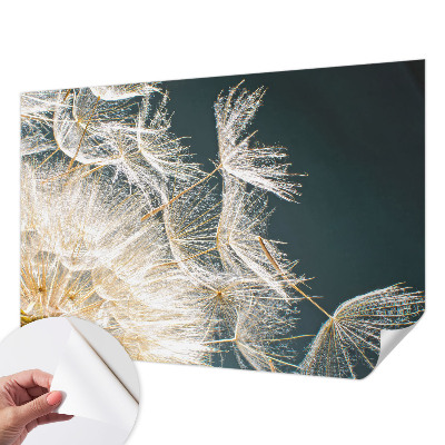 Samolepilna fototapeta za dnevno sobo Regrat lahkotnosti