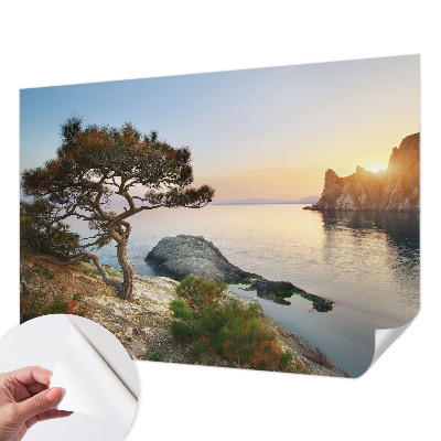 Fototapeta za otroško sobo z motivom mirne narave