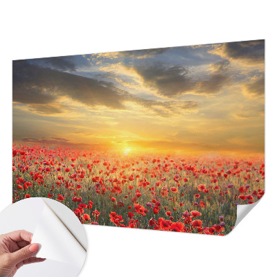 Otroška fototapeta z motivom makovega polja