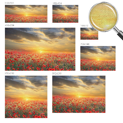 Otroška fototapeta z motivom makovega polja