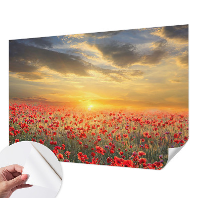 Otroška fototapeta z motivom makovega polja