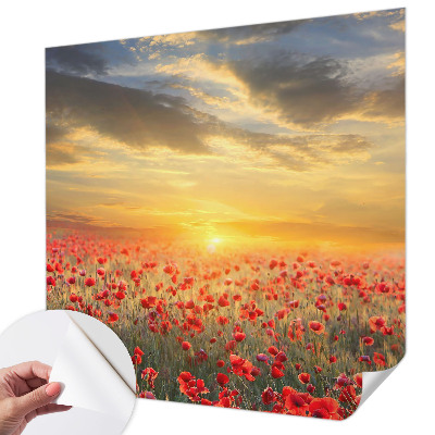 Otroška fototapeta z motivom makovega polja