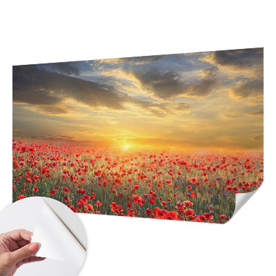 Otroška fototapeta z motivom makovega polja