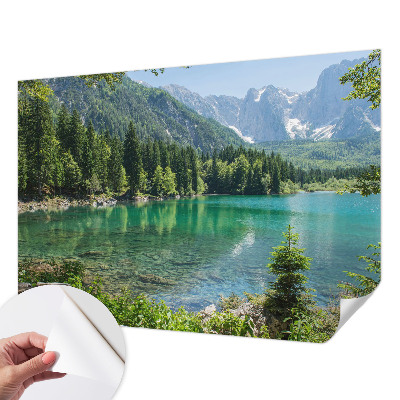 Samolepilna fototapeta za spalnico z motivom zelenega jezera