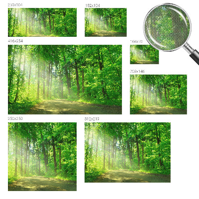 Samolepilna fototapeta z motivom gozdne poti