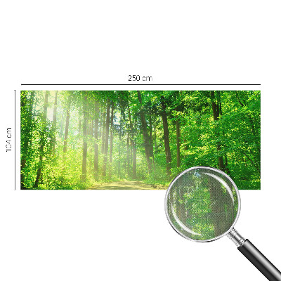 Samolepilna fototapeta z motivom gozdne poti