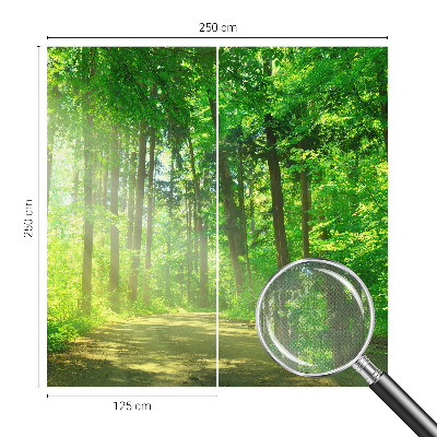 Samolepilna fototapeta z motivom gozdne poti
