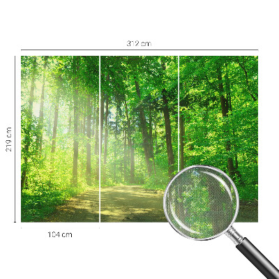 Samolepilna fototapeta z motivom gozdne poti