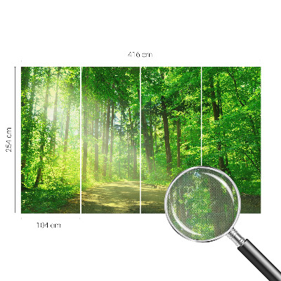 Samolepilna fototapeta z motivom gozdne poti