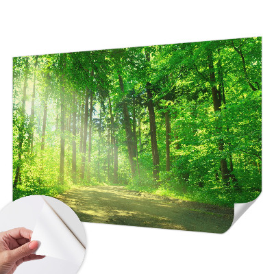 Samolepilna fototapeta z motivom gozdne poti