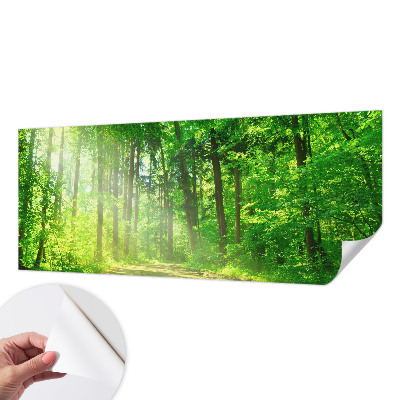 Samolepilna fototapeta z motivom gozdne poti