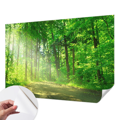 Samolepilna fototapeta z motivom gozdne poti