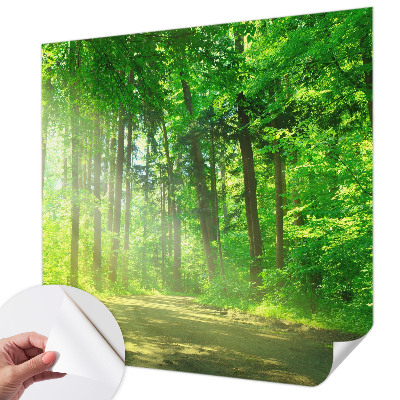 Samolepilna fototapeta z motivom gozdne poti