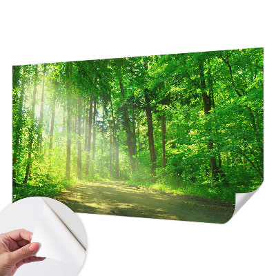 Samolepilna fototapeta z motivom gozdne poti
