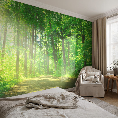 Samolepilna fototapeta z motivom gozdne poti