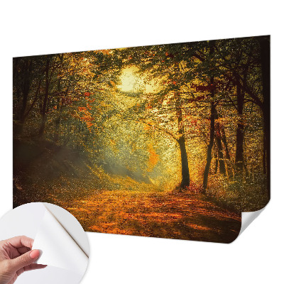 3D fototapeta z motivom jesenske pokrajine
