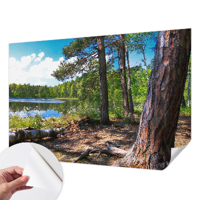 Samolepilna fototapeta z motivom gozdne pokrajine