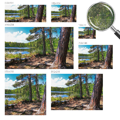 Samolepilna fototapeta Gozdna pokrajina