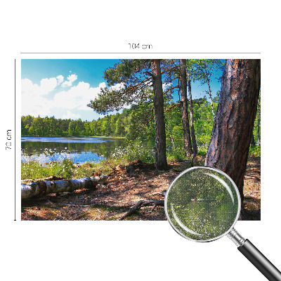 Samolepilna fototapeta z motivom gozdne pokrajine