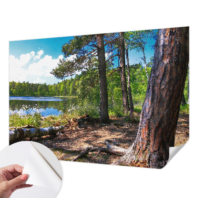 Samolepilna fototapeta z motivom gozdne pokrajine