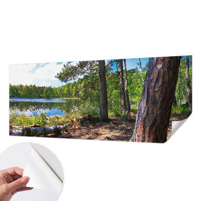 Samolepilna fototapeta z motivom gozdne pokrajine