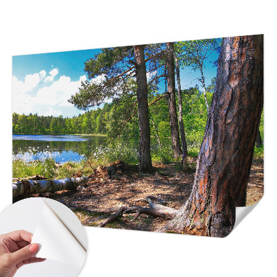 Samolepilna fototapeta z motivom gozdne pokrajine