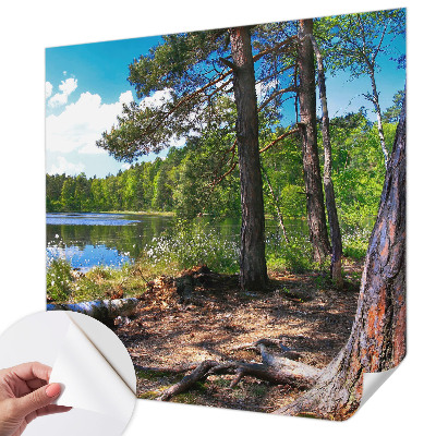 Samolepilna fototapeta z motivom gozdne pokrajine