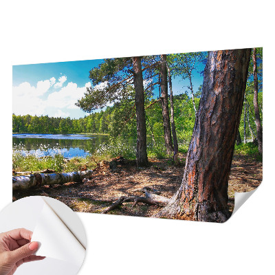 Samolepilna fototapeta z motivom gozdne pokrajine