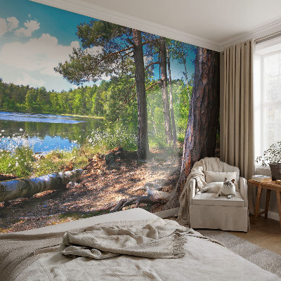 Samolepilna fototapeta z motivom gozdne pokrajine