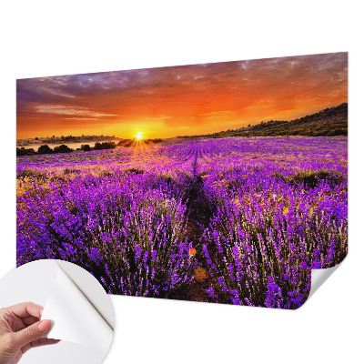 Samolepilna fototapeta z motivom sončnega zahoda sivke